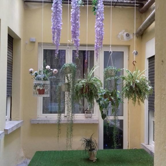 Dreaming Arcadia Verona