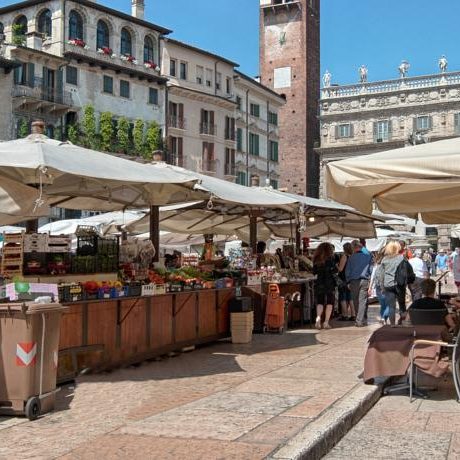 Dreaming Arcadia Verona