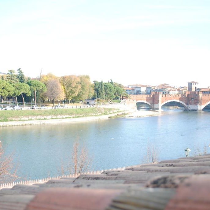 Dreaming Arena Verona