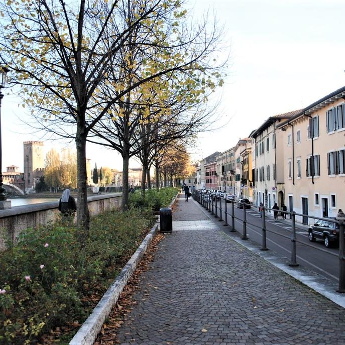 Dreaming Arena Verona
