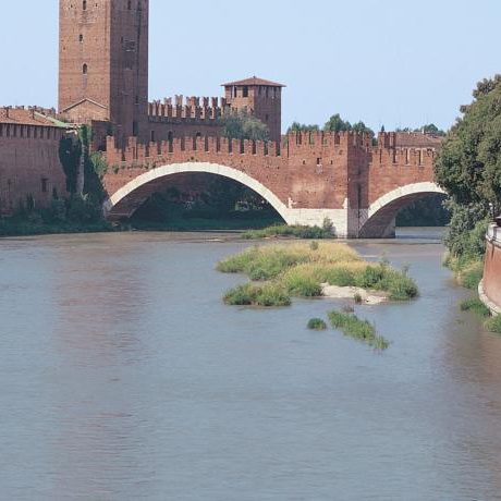 Dreaming Arena Verona