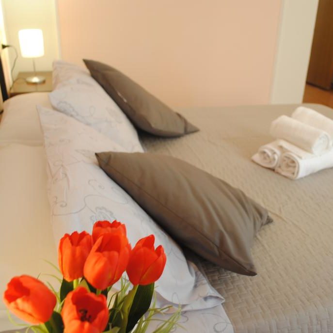 Dreaming Navona Roma