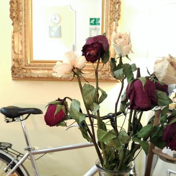 Dreaming Navona Roma